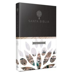Biblia RVR1960/Letra Grande/Tapa Dura Gris