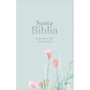 Biblia letra Grande Reina Valera Celeste