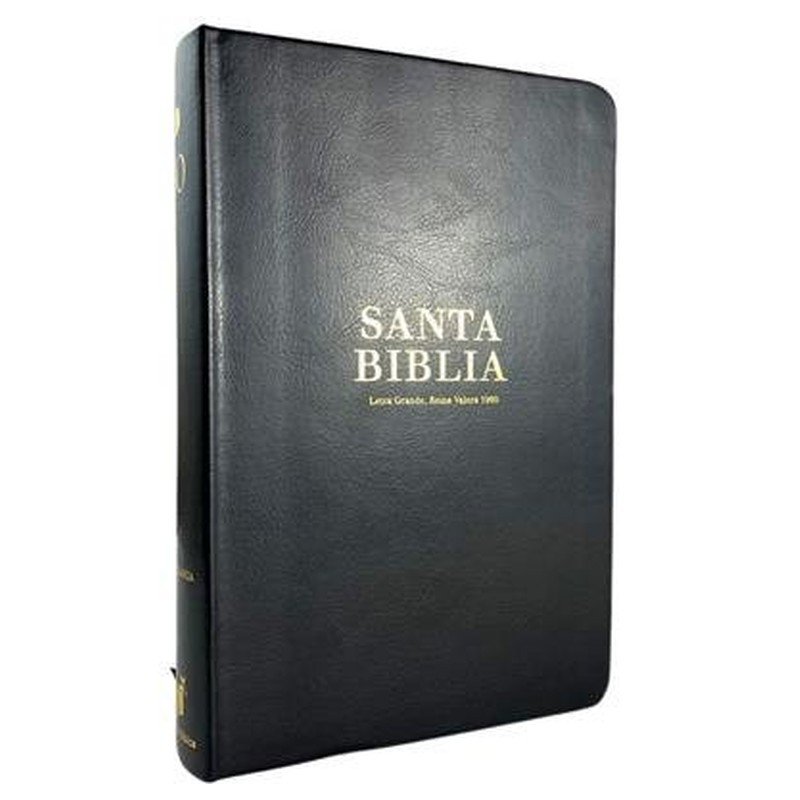 Biblia RVR60 Tamaño LG Negra Canto Dorado 1 Biblia RVR60 Tamaño LG Negra Canto Dorado