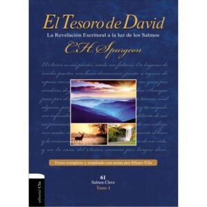 El tesoro de David I