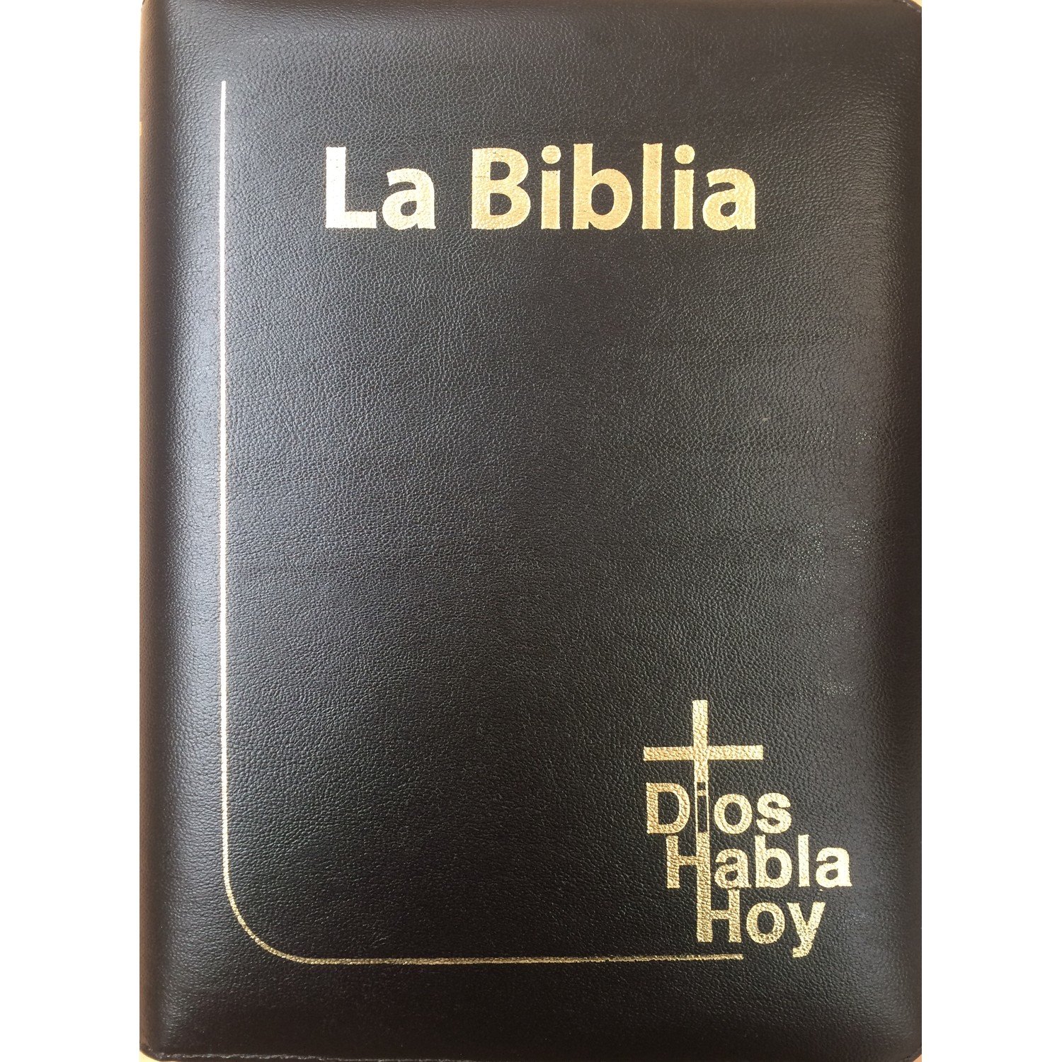 DHH085DKZLGia NEGRO C-DORADO 1 DHH085DKZLGia NEGRO C-DORADO