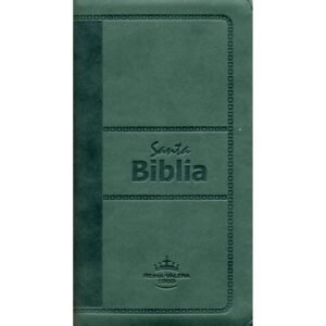RV60 Biblia Tipo Chequera Verde Flexible SBC