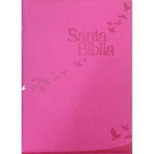 RV60 Biblia 085 Letra Gigante Rosa Canto Plata sin Índice