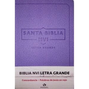 Biblia NVI 060 LG cuero italiano violeta