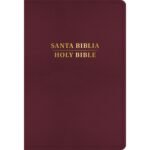 Biblia Bilingue 1960/KJV Letra Grande, Borgoña