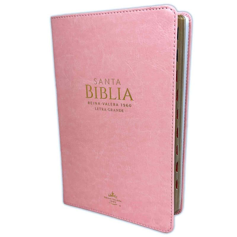 Reina Valera 1960 Manual Símil Rosa 1 Reina Valera 1960 Manual Símil Rosa