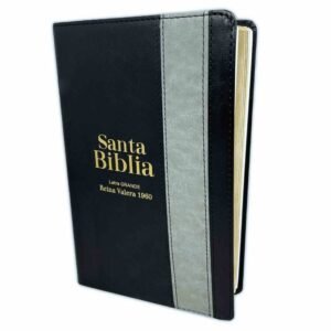 Biblia RVR60 Negra Gris 12 Puntos