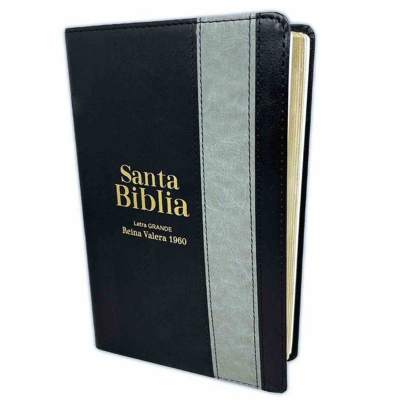 Biblia RVR60 Negra Gris 12 Puntos 1 Biblia RVR60 Negra Gris 12 Puntos