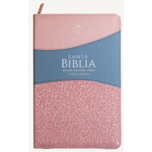Biblia RVR60 065 Rosa Azul Cierre LG 12PTS