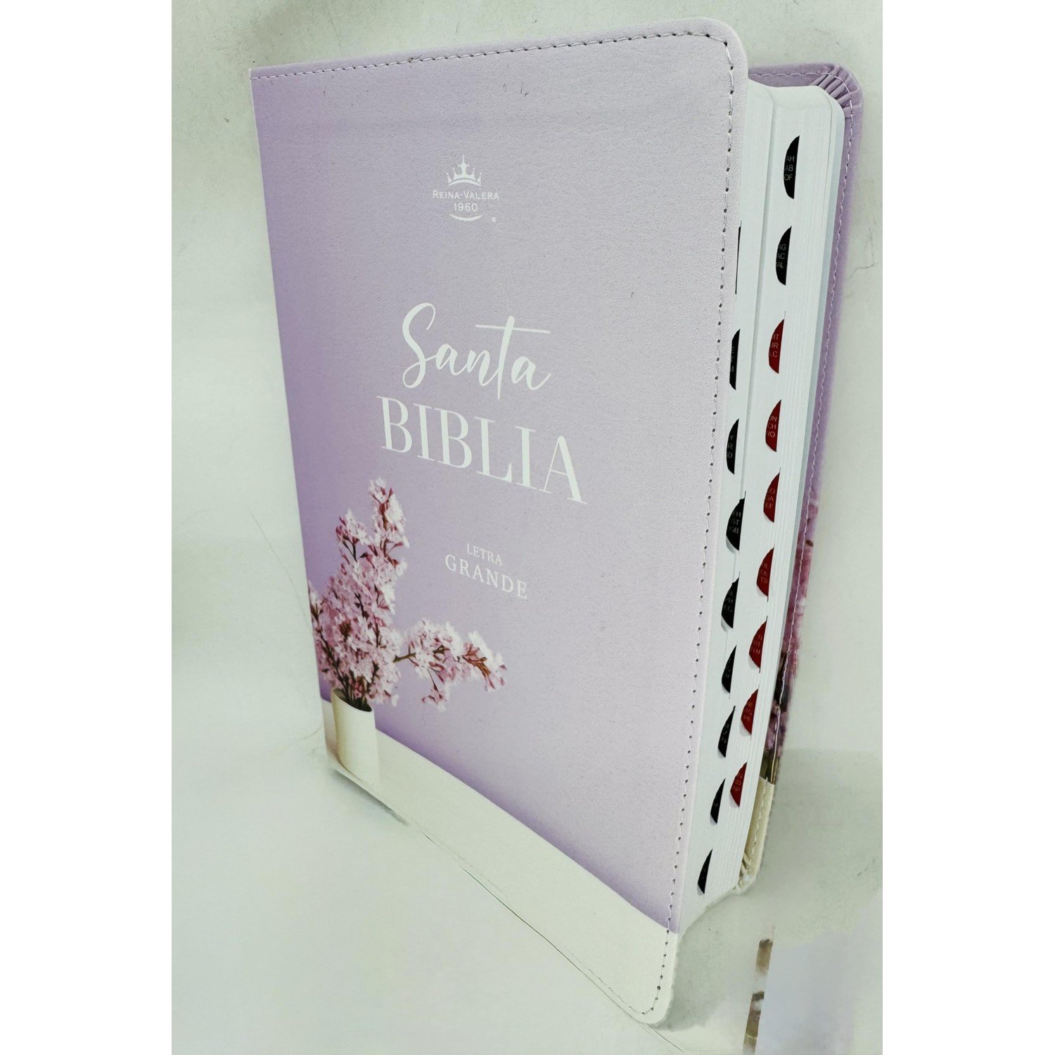 RVRBiblia lila jarron 1 RVRBiblia lila jarron