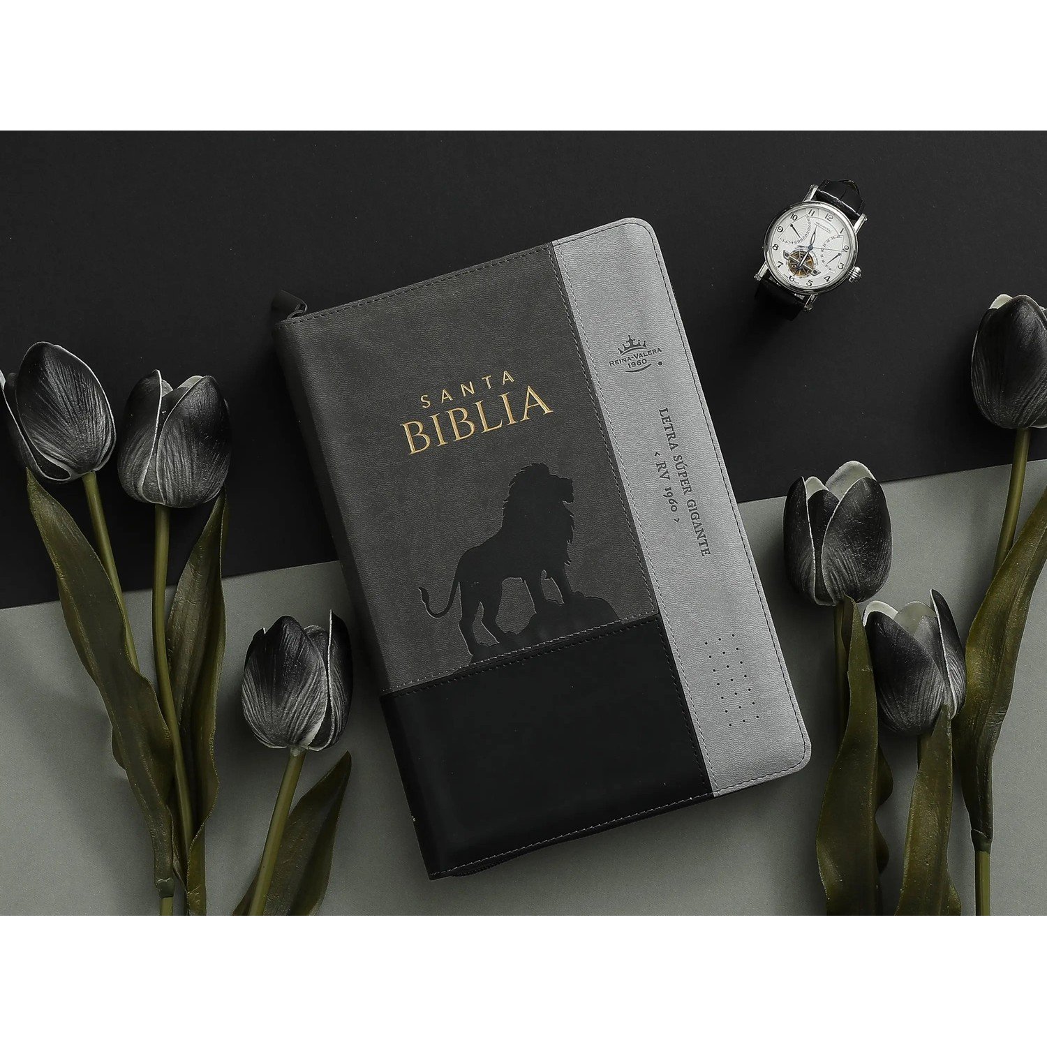 Biblia RVR60 Letra Súper Gigante 19 Puntos – Inspiración León Negro/Gris, con Cierre e Índice