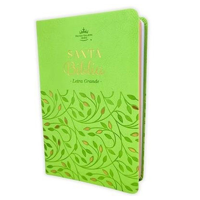 Biblia Verde Olivo /Premisos y Regalos 1 Biblia Verde Olivo /Premisos y Regalos
