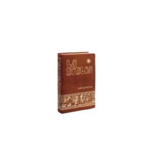 BIBLIA LAT MINISTRO PLASTICO – EVD