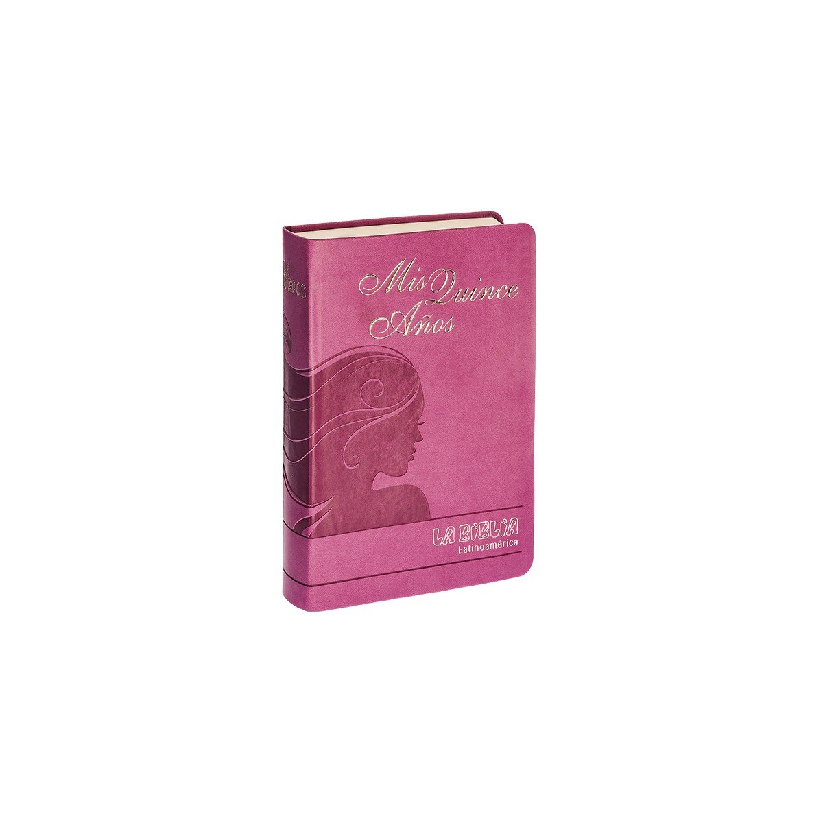 BIBLIA LAT MIS QUINCE AÑOS LG SIMIL PIEL – EVD 1 BIBLIA LAT MIS QUINCE AÑOS LG SIMIL PIEL – EVD