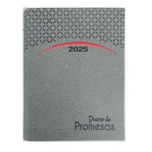 Agenda Diario De Promesas 2027/ Gris