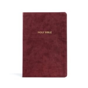 KJV Rainbow Study Bible, Burgundy Lt, Idx