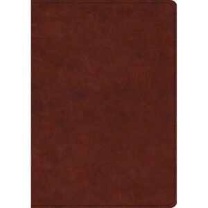 ESV Study Bible (trutone, Chestnut)