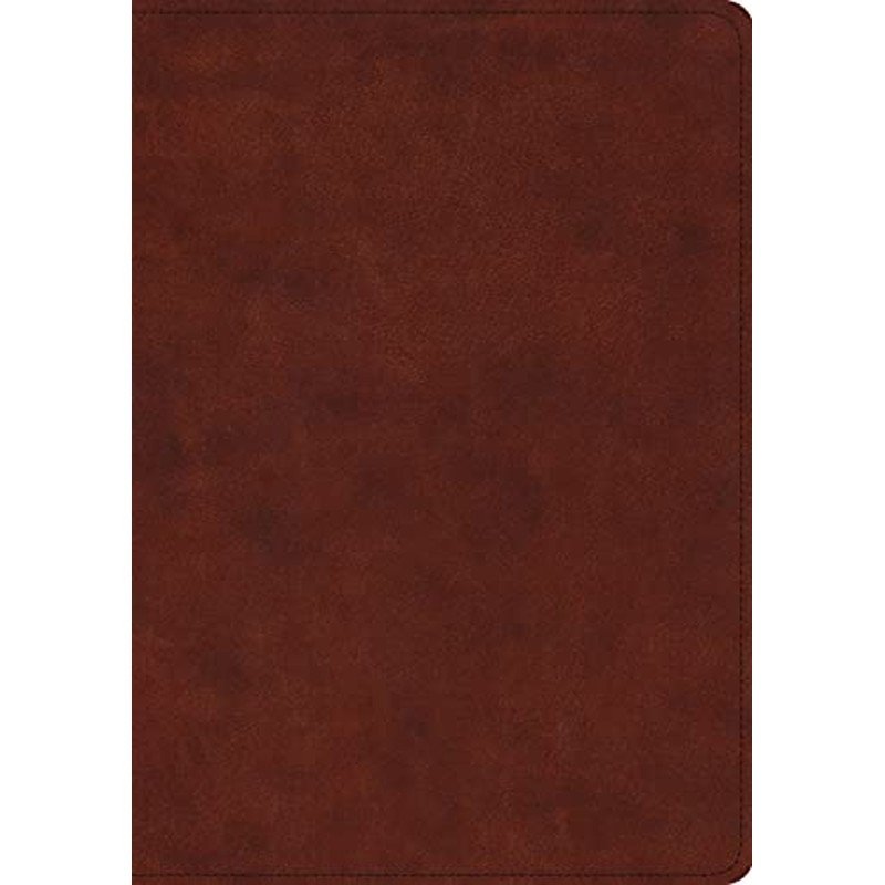 ESV Study Bible (trutone, Chestnut) 1 ESV Study Bible (trutone, Chestnut)