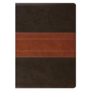 ESV Personal Size Study Bible (trutone, Forest/tan)