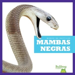 Mambas Negras