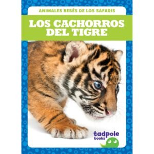 Los Cachorros del Tigre