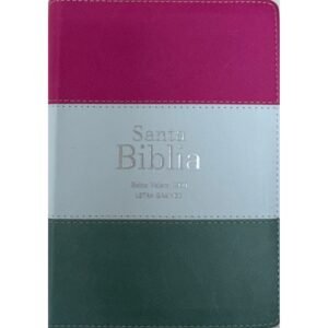 Biblia RVR 1960 Compacta Letra Grande 11 puntos Símil Piel Magenta Verde Glacial Verde Grisaceo con Cierre y Índice