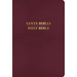 Biblia RVR 1960 KJV Bilingüe Letra Grande Borgoña Símil Piel con Índice