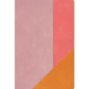 Biblia De Estudio Arcoiris – Rosa Cuarzo Imitacion