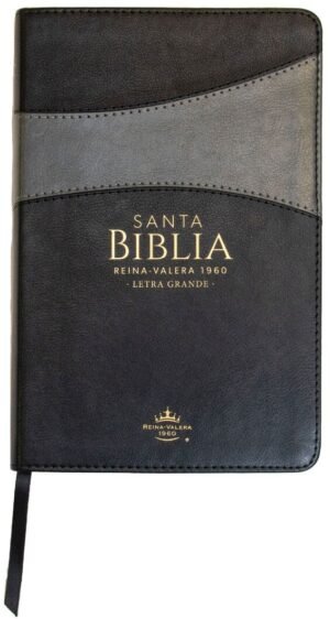 Biblia Bitono negro/Gris