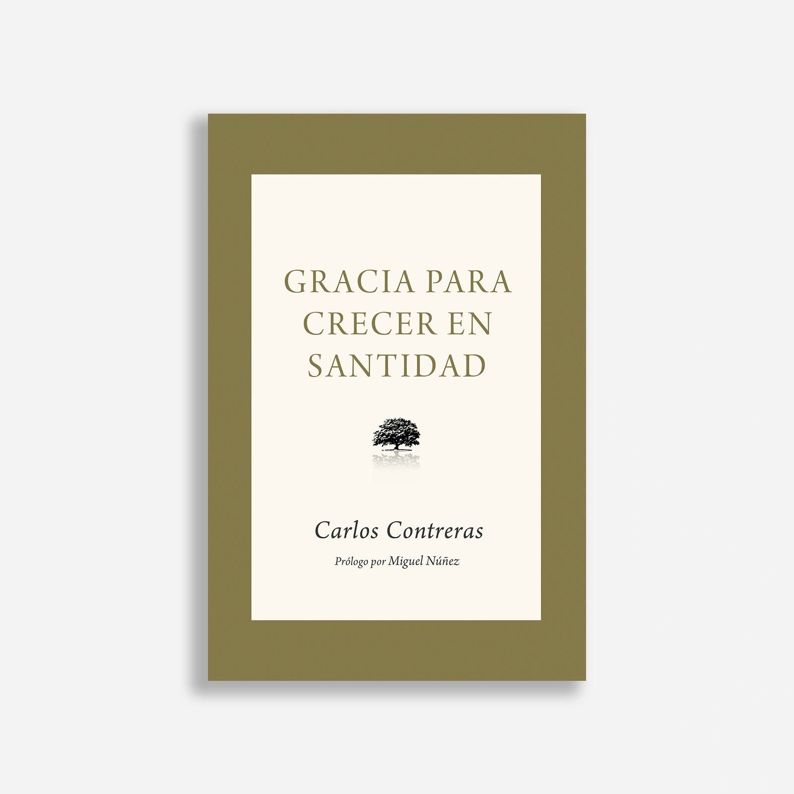Gracia Para Crecer En Santidad 1 Gracia Para Crecer En Santidad — imagen 1 de 2