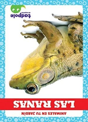 Las Ranas — imagen 1 de 1