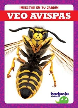 Veo Avispas — imagen 1 de 1