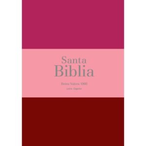 Biblia RVR 1960 Letra Gigante 14 puntos Símil Piel Tricolor Fucsia Rosado Rojo Granate con Cierre e Índice