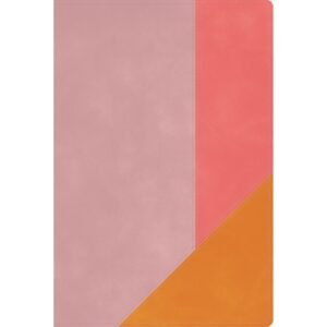 Biblia RVR 1960 de Estudio Arcoíris Rosa Cuarzo Símil Piel con Índice