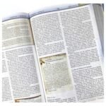 Biblia de Estudio Cronológica NBLA Tapa Dura – Interior a Cuatro Colores – foto 4 – imagen 5