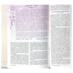 Biblia de la Mujer Conforme Corazón de Dios RVR60 – foto 4 – imagen 5
