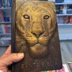 Biblia León de Judá sostenida en la mano dentro de la librería – imagen 8