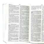 Biblia letra Grande Reina Valera Celeste – foto 2 – imagen 3