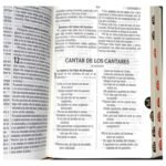 Biblia Pastoral RVR 1960 Letra Grande – Negra con Índice y Estuche – foto 4 – imagen 5