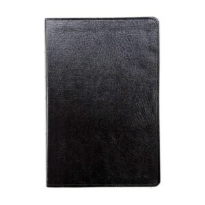 Biblia Plenitud RVR60 Piel