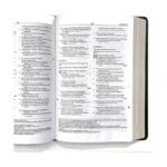Biblia Plenitud RVR60 Piel – foto 3 – imagen 4