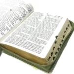 Biblia RVR 1960 Compacta Letra Grande 11 puntos Símil Piel Verde Claro Flores con Cierre y Índice – foto 5 – imagen 5