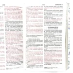Biblia RVR 1960 Letra Grande Tamaño Manual Símil Piel Botticeli Azul – foto 3 – imagen 3