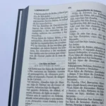 Interior de la Biblia RVR1960 Letra Grande Espada en 1 Crónicas 2 y 3 – imagen 4