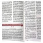 Biblia RVR60 Estudio Para Jóvenes/ Roja Tapa Dura/ Comfort Print – foto 3 – imagen 4