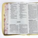 Biblia RVR60 Letra Súper Gigante 19 Puntos – Jardín Vintage, con Cierre e Índice - foto 3 – imagen 3