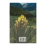 Contraportada del himnario Himnos de Fe y Alabanza con una yuca en flor – imagen 2