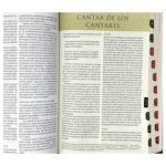 Reina Valera 1960 Biblia Temática De Estudio Marrón Oscuro – foto 3 – imagen 4