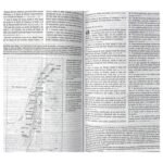 RV60 Biblia Plenitud rústica – foto 3 – imagen 4