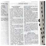 RVR1960 Biblia premier super gigante – foto 5 – imagen 6